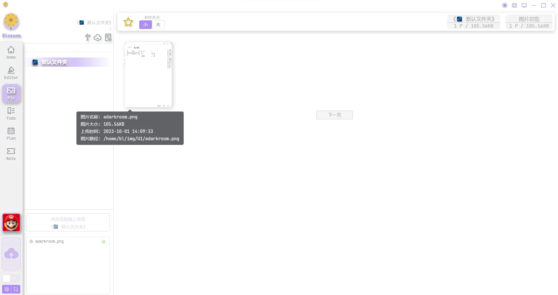 blossom-3.webp