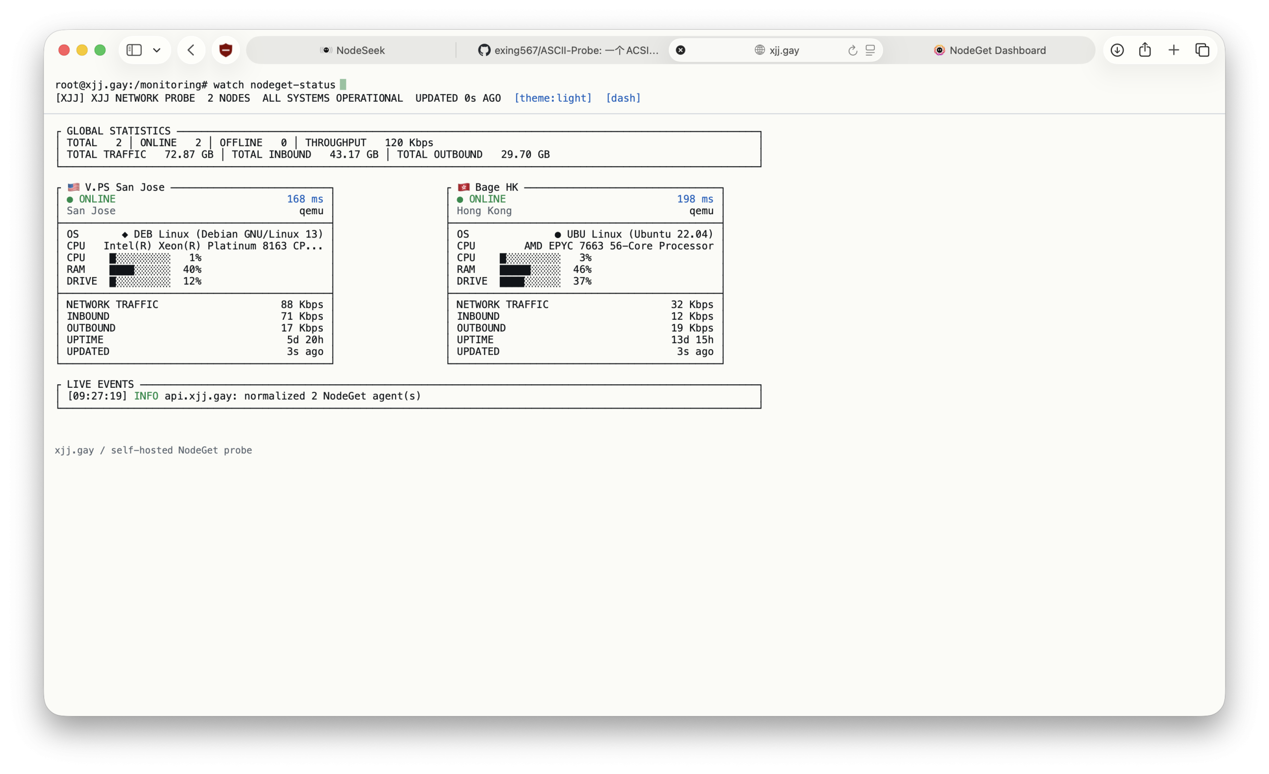 [开源] 真 · 终端风格的Nodeget 模版 ASCII-主机地图，一站式 VPS 主机性能与线路测评